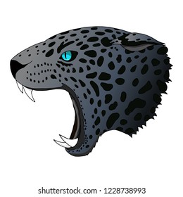 Vector angry panther, cougar portrait. Jaguar blue saphire eyes predator head colorful isolated on white background.