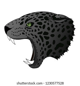 Vector angry panther, cougar portrait. Jaguar emerald green eyes predator head colorful isolated on white background.