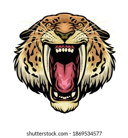 vector of angry Sabertooth lion head