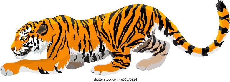 vector angry tiger mascot illustration