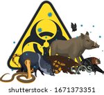 vector angry wild animal with coronavirus infection: pangolin, bat, pig, snake and biohazard sign