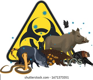 vector angry wild animal with coronavirus infection: pangolin, bat, pig, snake and biohazard sign