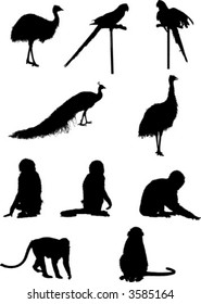 vector animal