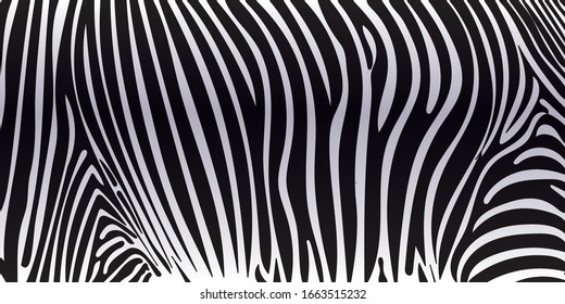 Vector animal abstract of Zebra skin, seamless pattern design.