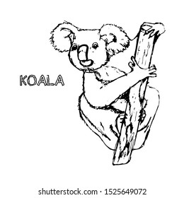 Vector animal of Australia, koala. Isolated over white background. For coloring books, children's books, books about animals, stickers, magazines, design, factories, business