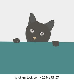 Vector Animal Black Cat Peeking