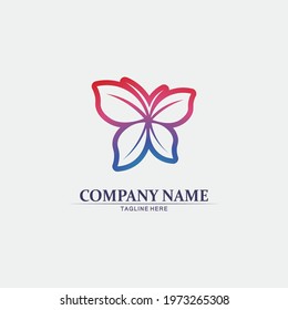 Vector animal  Butterfly conceptual simple, colorful icon. Logo. Vector illustration
