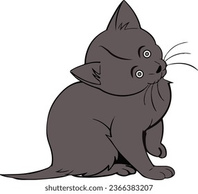 vector Animal Cartoon Cat Drawing