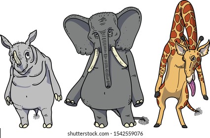 vector of animal character design. 