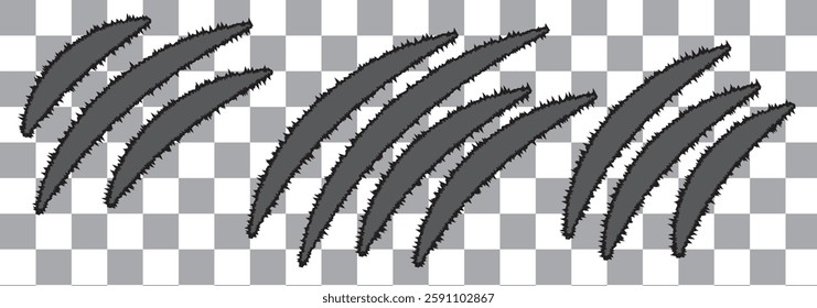 Vector animal claw scratch set on transparent background