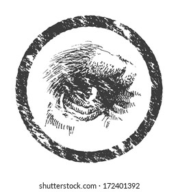 Vector animal eye. Hand drawn. Eps 8
