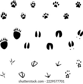 Vector animal footprints on isolated white background