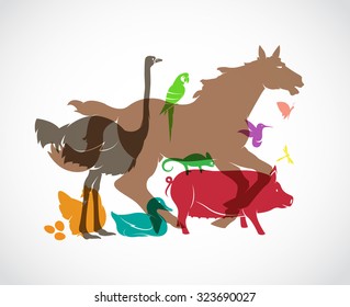 Vector animal group on white background, horse,pig,chicken,parrot,duck,butterfly, dragonfly, ostrich, chameleon