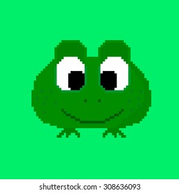 Vector animal icon. The frog on green for design children games . 