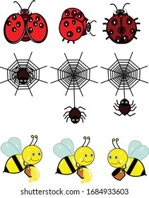 icono del vector animal, escarabajo de araña e icono de abeja. ilustración de caricatura