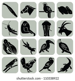 Vector animal icons set collection