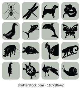 Colección de iconos de animales de vectores
