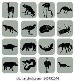 Vector animal icons set collection