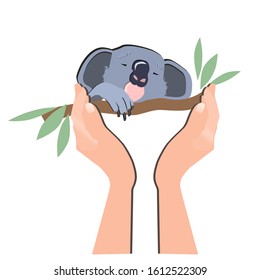 
Vector animal koala on a tree among the leaves. Koala in the hands of man.