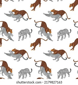 vector animal leopard. Leopard pattern on white background.