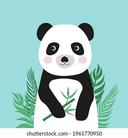 Vector animal on a blue background. Cute little panda. Panda bear holding bamboo in its paw. Ideal for poster prints for the playroom. Or for the design of the site of a children's 
shop