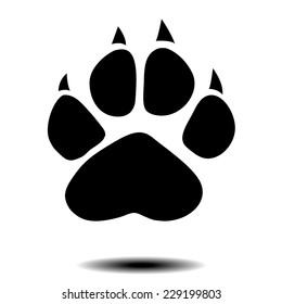 vector animal paw