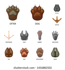 Vector of animal paw print illustration signs. Collection of animal and footprint stock symbol for web.