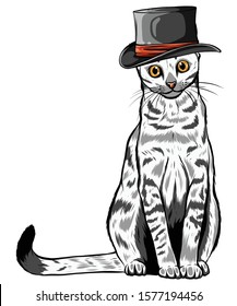 vector animal, portrait of cat in tall hat