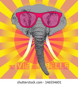 vector animal portrait, elephant in pink glasses, pink life, la vie est belle
