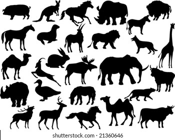 vector animal shapes