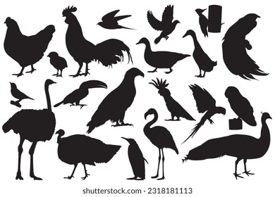 Vector Animal Shilouette poultry bird illustration