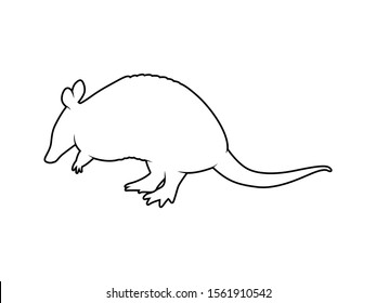 Vector Animal Silhouette Armadillo on White Background
