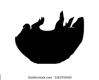 Vector Animal Silhouette Armadillo on White Background