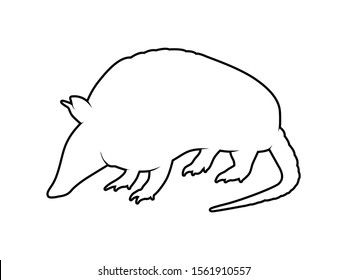 Vector Animal Silhouette Armadillo on White Background