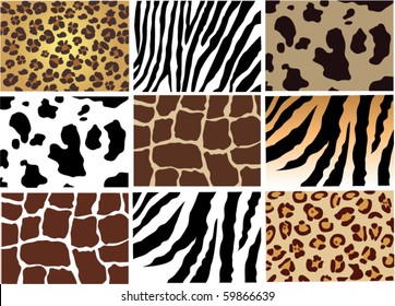 vector animal skin