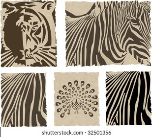 the vector animal and skin set