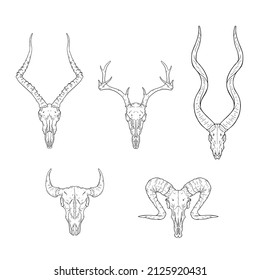 Vector animal skull collection. Outline hand drawn illustration. Western style logo isolated on white