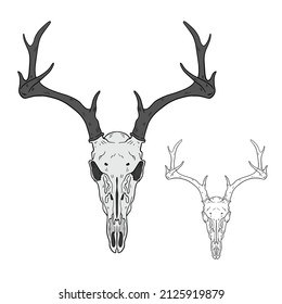 Vector animal skull. hand drawn illustration. Western style logo isolated on white