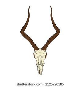 Vector animal skull. hand drawn illustration. Western style logo isolated on white