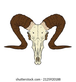 Vector animal skull. hand drawn illustration. Western style logo isolated on white