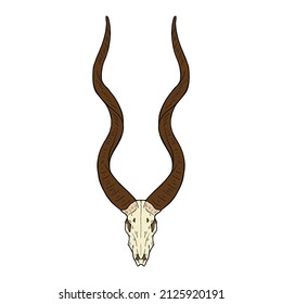 Vector animal skull. hand drawn illustration. Western style logo isolated on white