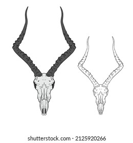 Vector animal skull. hand drawn illustration. Western style logo isolated on white