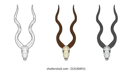 Vector animal skull. hand drawn illustration. Western style logo isolated on white