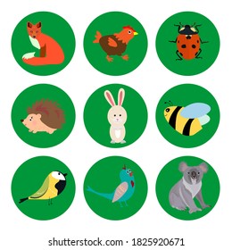 Set süßer Cartoon-Tieraufkleber, Vektorgrafik einzeln auf weißem Hintergrund. Flaches Design. Die Kinder legen wilde Tiere süß, Fuchs, Koala, Ladybug, Biene, Igel, Vögel, Kaninchen, Huhn. Kopiere Paste. 