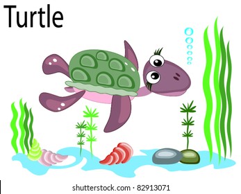 Vector animal turtle
