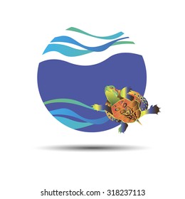 vector animal turtle illustration reptile cartoon nature