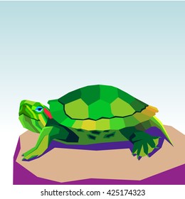 vector animal turtle illustration reptile cartoon nature