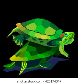 vector animal turtle illustration reptile cartoon nature