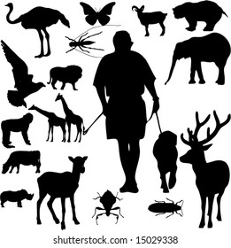 Vector of animals