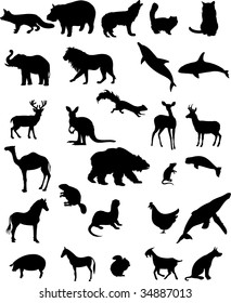 vector animals